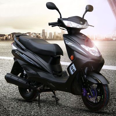 全新踏板车摩托车125cc踏板车助力车燃油车摩托车轻骑汽油踏板车