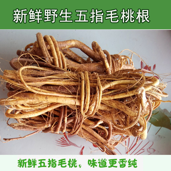 新鲜野生五指毛桃根五爪金龙土黄芪五指牛奶根祛湿煲汤料500g包邮