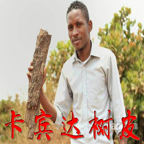 卡宾达树皮 安哥拉进口男人滋补强身 泡茶 非洲正品 泡酒料药酒料