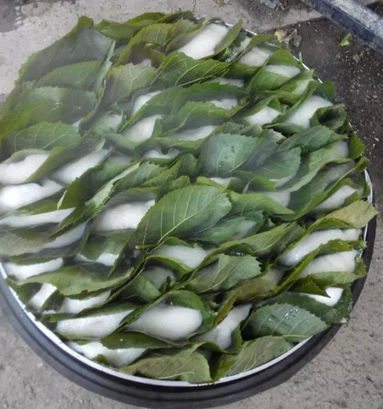 东北特产粘耗子 玻璃叶饼 两种口味 真空包装250g 5件包邮