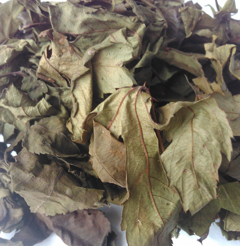 广西大瑶山野生甜茶刺儿茶甜茶叶干品新货100克包邮