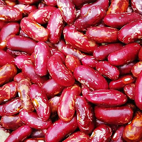 东北吉林特产红花芸豆 花豆 红豆角豆 饭豆 菜豆散装吉林省其它