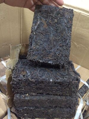 普洱茶老生茶80年代虫屎茶砖 古董老生茶砖 绝版珍藏99元250g装