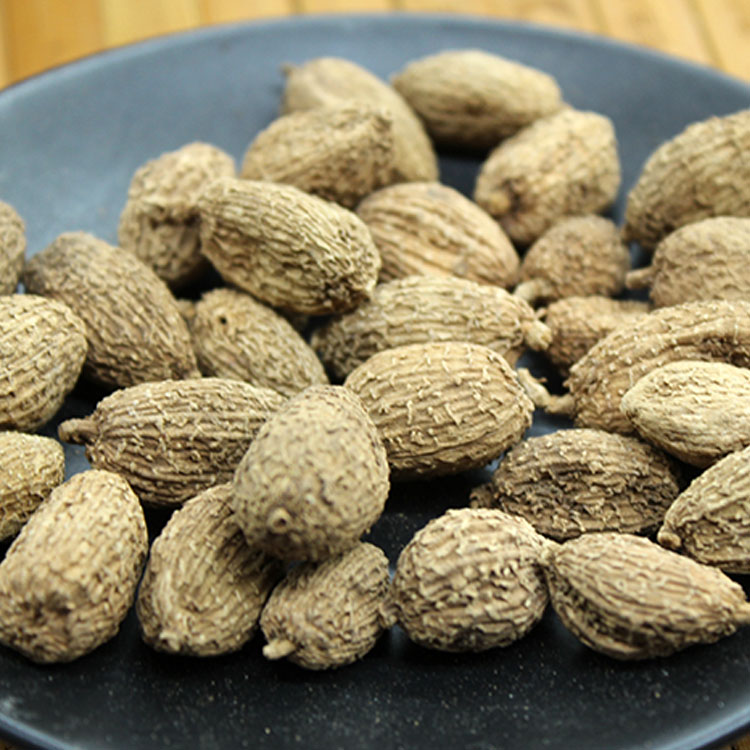 小砂仁 沙仁 500克包邮