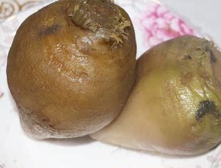 咸菜疙瘩下饭菜菜疙瘩 咸菜 榨菜腌制芥菜疙瘩丝泡菜香椿