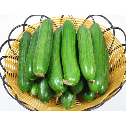 农巴老 新鲜蔬菜水果小黄瓜无刺荷兰黄瓜青瓜可生吃5斤装包邮_4折现价