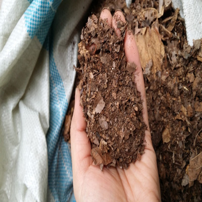 长白山君子兰营养土专用土有机腐叶土东北酸性腐殖质橡树叶土包邮