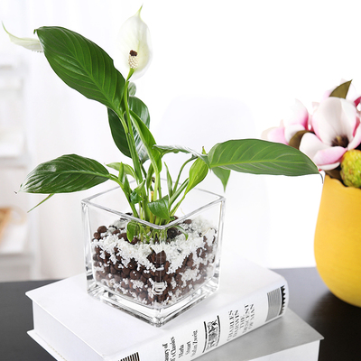 简约加厚正方形缸大号花瓶玻璃透明桌面摆件水培花器水养植物花盆