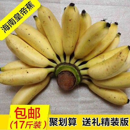 新鲜水果香蕉banana 海南三亚特产皇帝蕉 帝王蕉非小米蕉3斤包邮_5折