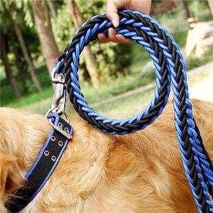 活体 出售纯种德国牧羊犬 德牧幼犬活体大型犬宠物狗 黑背弓背警犬