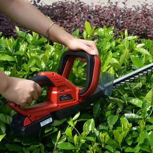 锂电充电式直流园林电动绿篱机园艺工具修枝机茶叶修剪机篱笆剪