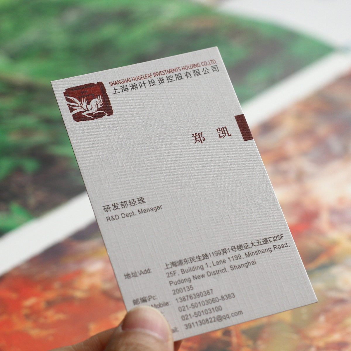 莱尼纸名片,珠光纸名片,刚古纸名片_大山谷图库