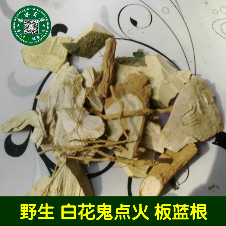 野生无硫 板蓝根 板蓝根茶 白花鬼点火 500g
