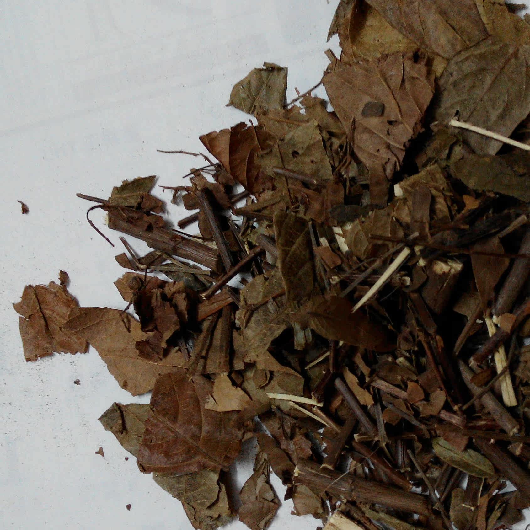 野生无硫 葫芦茶 咸鱼草 百劳舌 500g 3 斤包邮