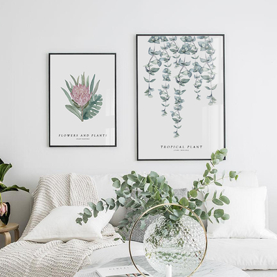 noc 现代简约植物壁画 北欧卧室画餐厅挂画照片墙 客厅组合装饰画