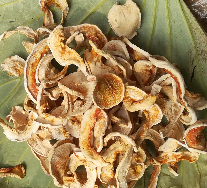 湖南桃源特色小吃常德干货干南瓜皮子干南瓜片100g农家纯天然晒干