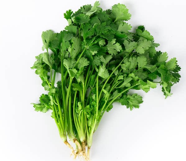 汇鲜蔬果 新鲜蔬菜 香菜 香菜250g 芫荽