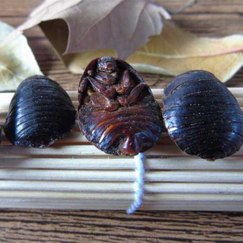 土元土元虫地鳖虫干土鳖子中华土元养殖场直供中药材500g包邮