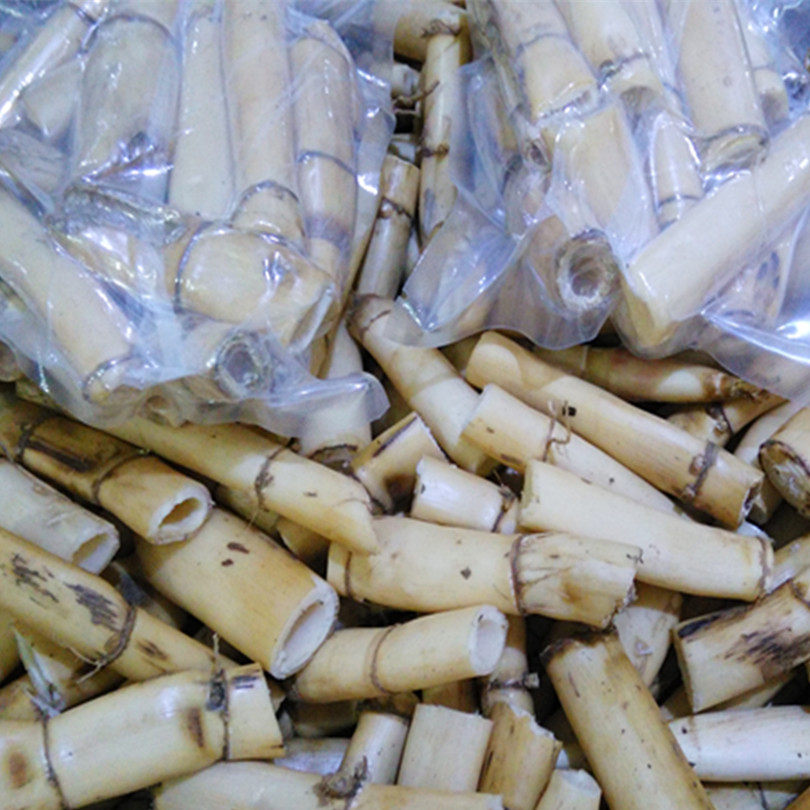 真空包装新鲜芦根农家现挖野生芦苇根芦根苇子根现挖现卖260克