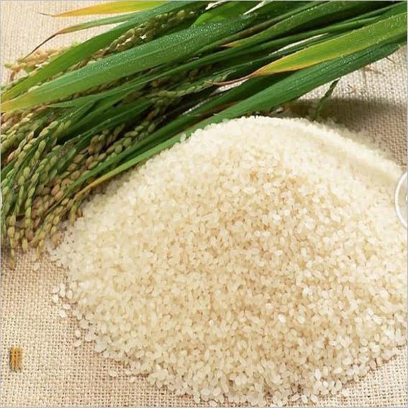 宝宝辅食 现磨细生大米粉粘米粉大米面 发糕点心原料5斤包邮