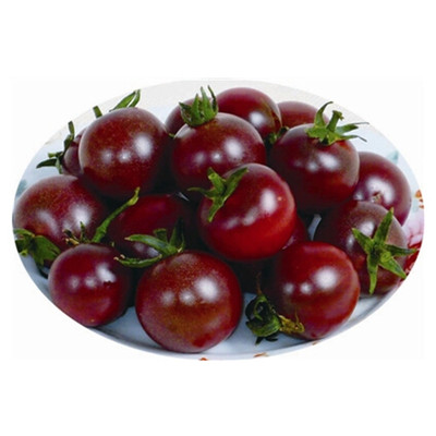 台湾进口 紫玫瑰 番茄种子 小黑珍珠1号 黑骑士 紫玉 紫番茄种子