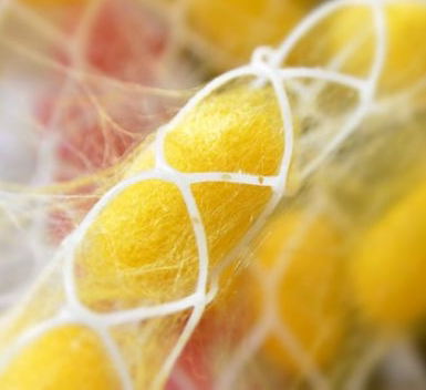 结彩茧蚕卵 天然彩色蚕宝宝卵蚕籽蚕子吃桑叶白色蚕吐彩丝5元30粒