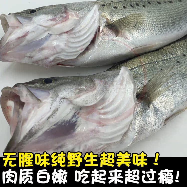 鲈鱼鱼类新鲜海鱼四肋鱼花鲈寨花鲈板 鲜活鲈鱼 野生新鲜鲈鱼_双氙