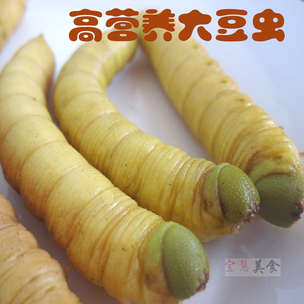 鲜嫩大豆虫 活体冷冻 豆青虫 纯野生 高蛋白 限区三斤包邮 500g