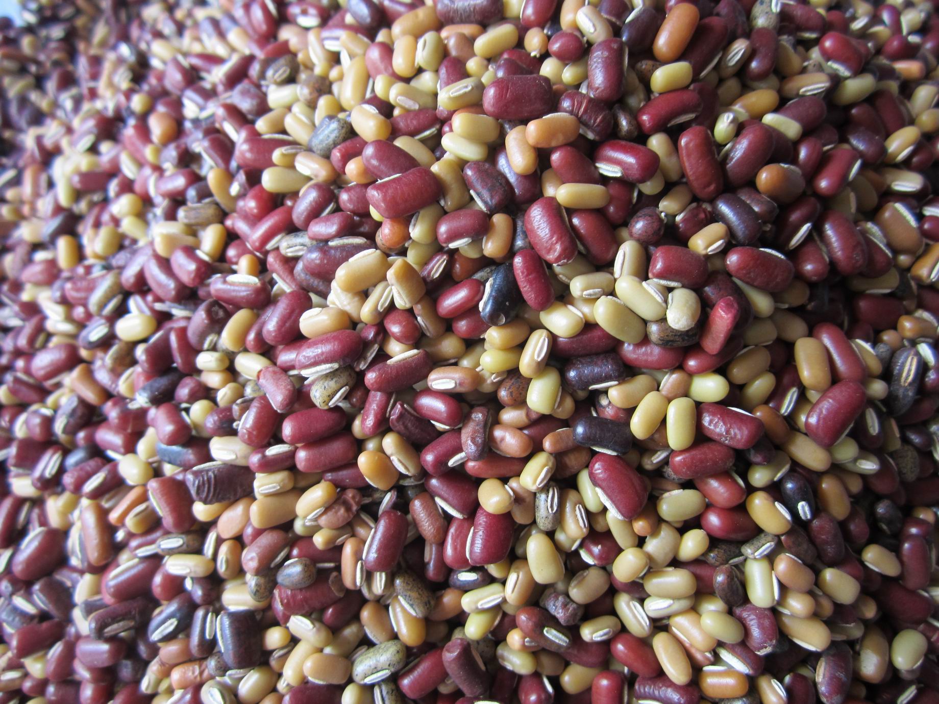 巴马特产农家竹豆花饭豆杂饭豆 五谷杂粮健康营养500克真空包装