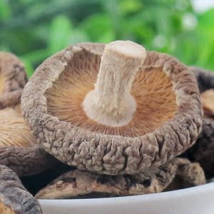 北大荒 东北山珍菌菇特产东北小香菇干货 颐生香菇200克