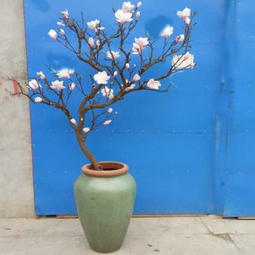 树枝插花树造型树枝树干落地花艺装饰梅花美陈枯枝仿真梅花玉兰树