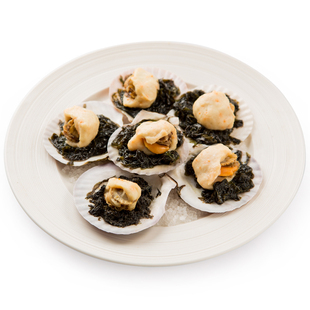 海鲜水产 山东能龙紫袍玉带6枚(43*6)扇贝肉