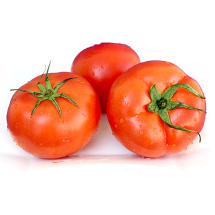新鲜蔬菜西红柿盘茄500克 海南三亚同城配送