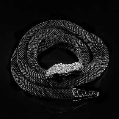 自由变形金属舞蹈水钻黑色锁链长蛇头尾朋克手链男女手镯项链饰品