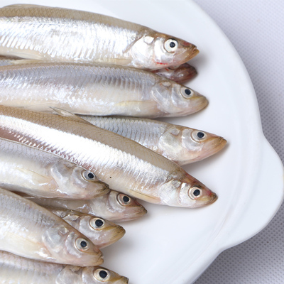 密云水库公鱼 出口日本生吃鱼 油炸小鱼 池沼公鱼 黄瓜鱼 公鱼1斤