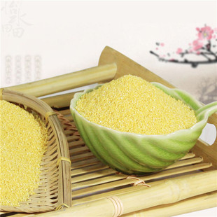 怡水田田 小米子 东北产小米子 月子米 农民产业合作社