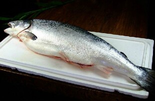 三文鱼 挪威进口 整条出售 冰冻冷冻三文鱼 涨价了32元/斤 特价 13斤