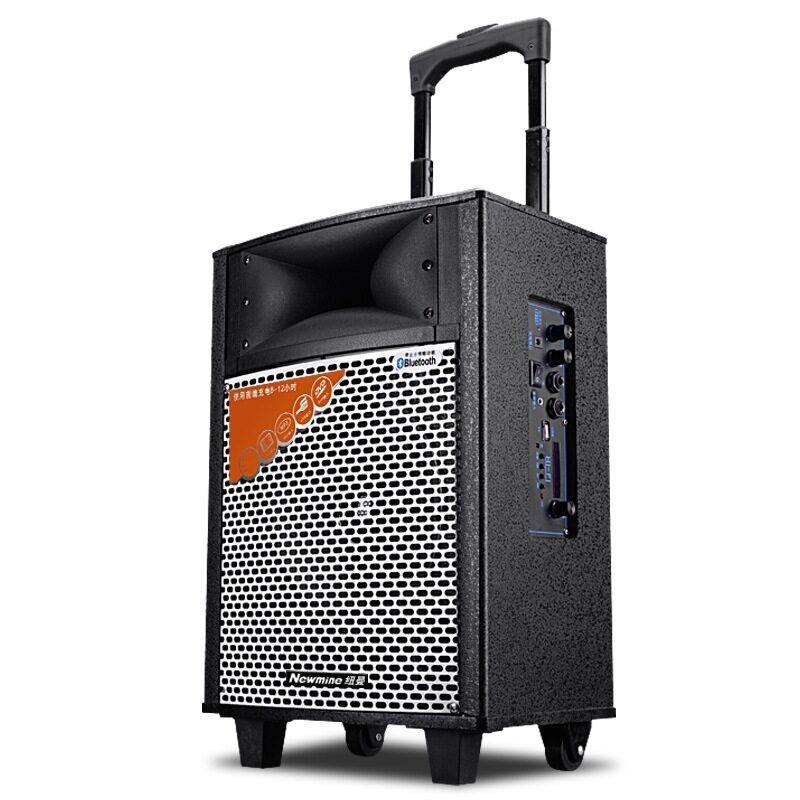 纽曼(newmine)301h 10寸拉杆音箱 插卡广场舞音箱蓝牙户外音响