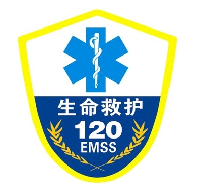 120急救 图标,120急救图标,120急救标志_大山谷图库