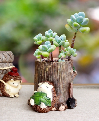 可爱动漫小刺猬多肉植物组合花盆花器微景观办公室绿植摆件笔筒