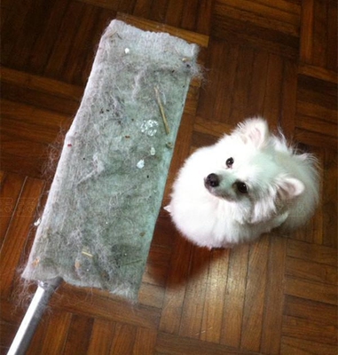 日本花王除尘纸懒人平板拖把家用尘推宠物毛发免洗木地板旋转地拖